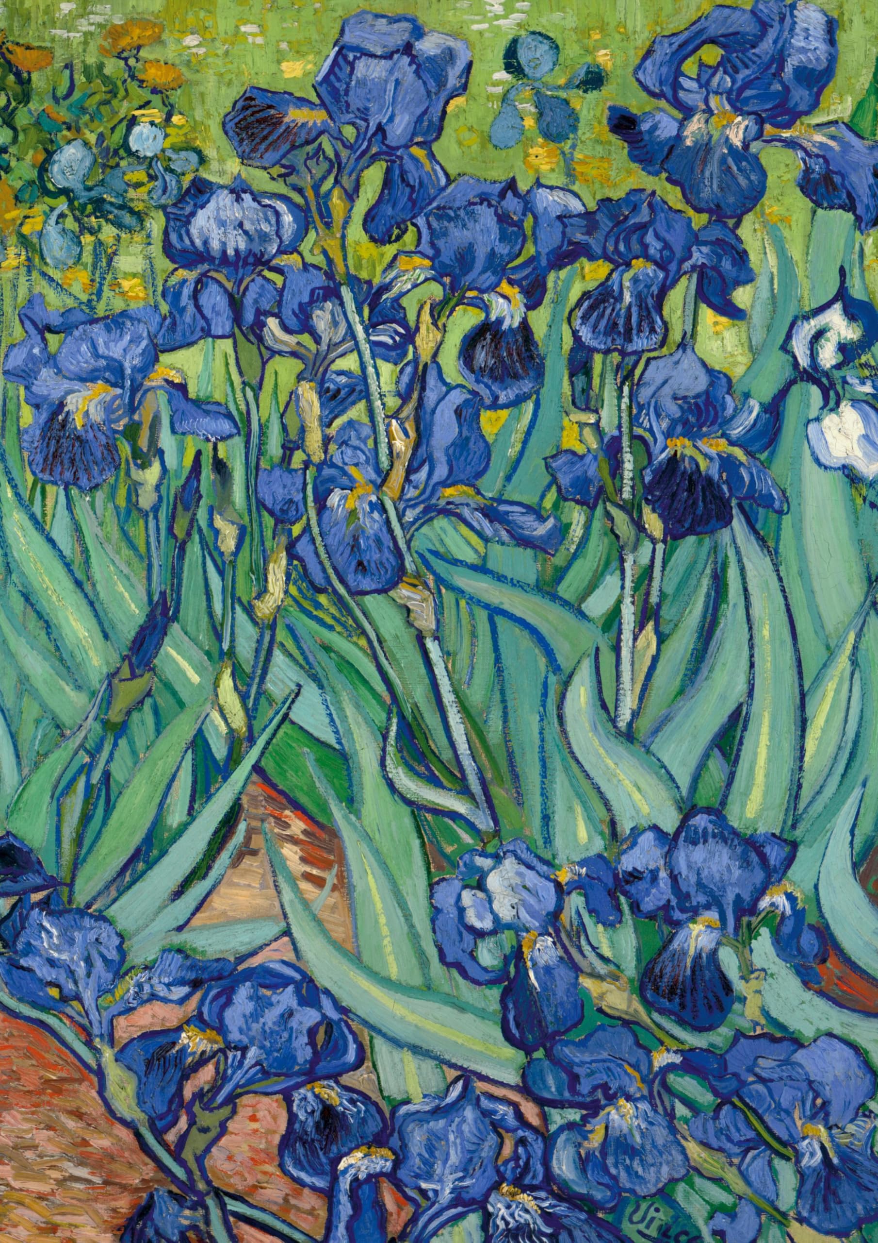 Notizbuch A4 blanko Softcover - Motiv "Schwertlilien" (Irises) Vincent van Gogh - 100 Seiten - FSC Papier Classics