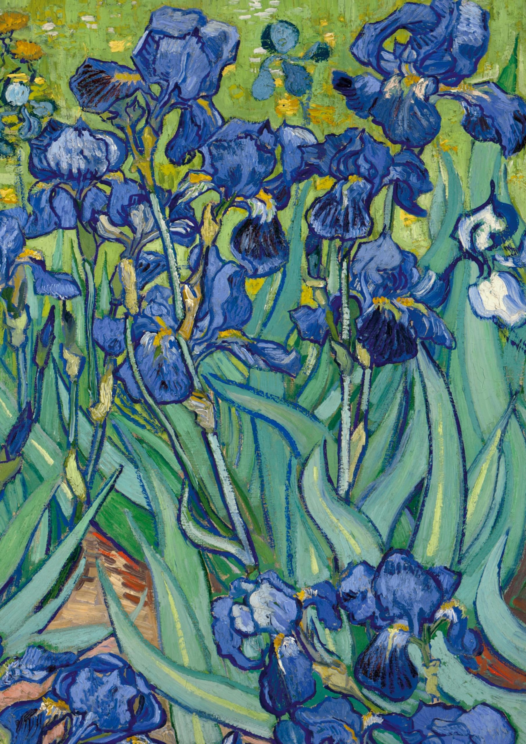 Notizbuch A4 blanko Hardcover - Motiv "Schwertlilien" (Irises) Vincent van Gogh - 100 Seiten - FSC Papier Classics