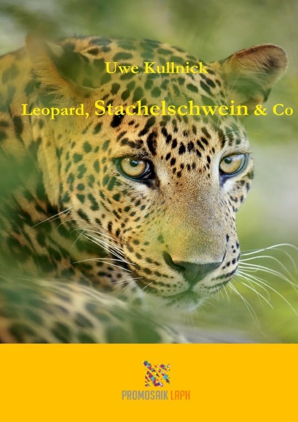 Leopard, Stachelschwein & Co: Stachelschweintanz und andere wilde Geschichten Novels & Short Stories