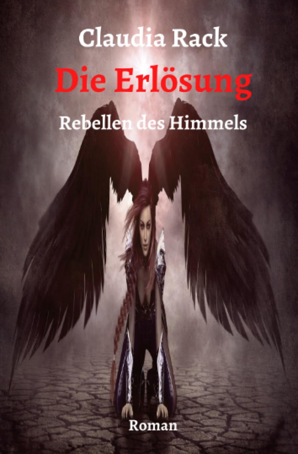Die Erlösung (Rebellen des Himmels) Contemporary literature