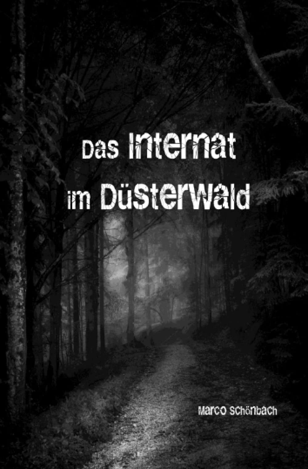 Das Internat im Düsterwald Action & Adventure