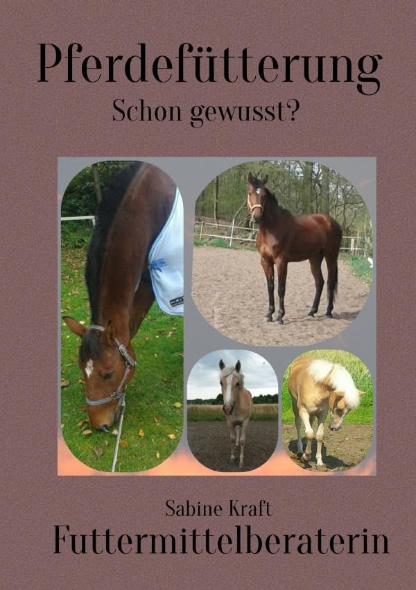 Pferdefütterung: Schon gewusst? Pets