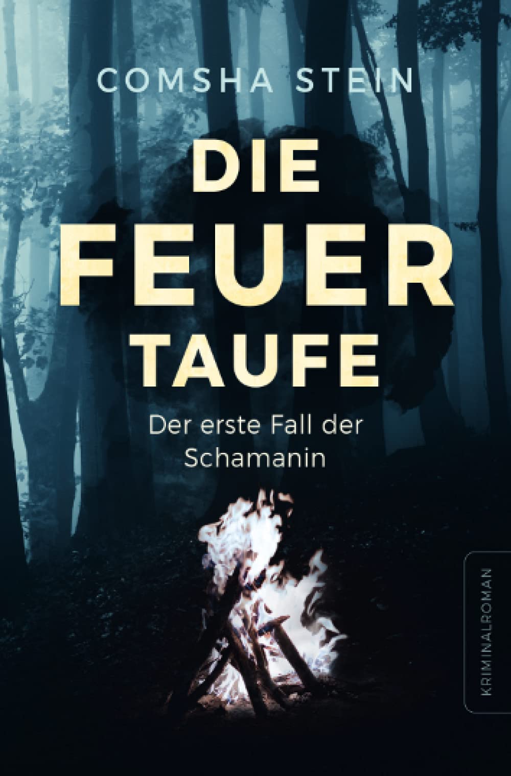 Die Feuertaufe: Der erste Fall der Schamanin (Die Gebietsschützerin) Contemporary literature