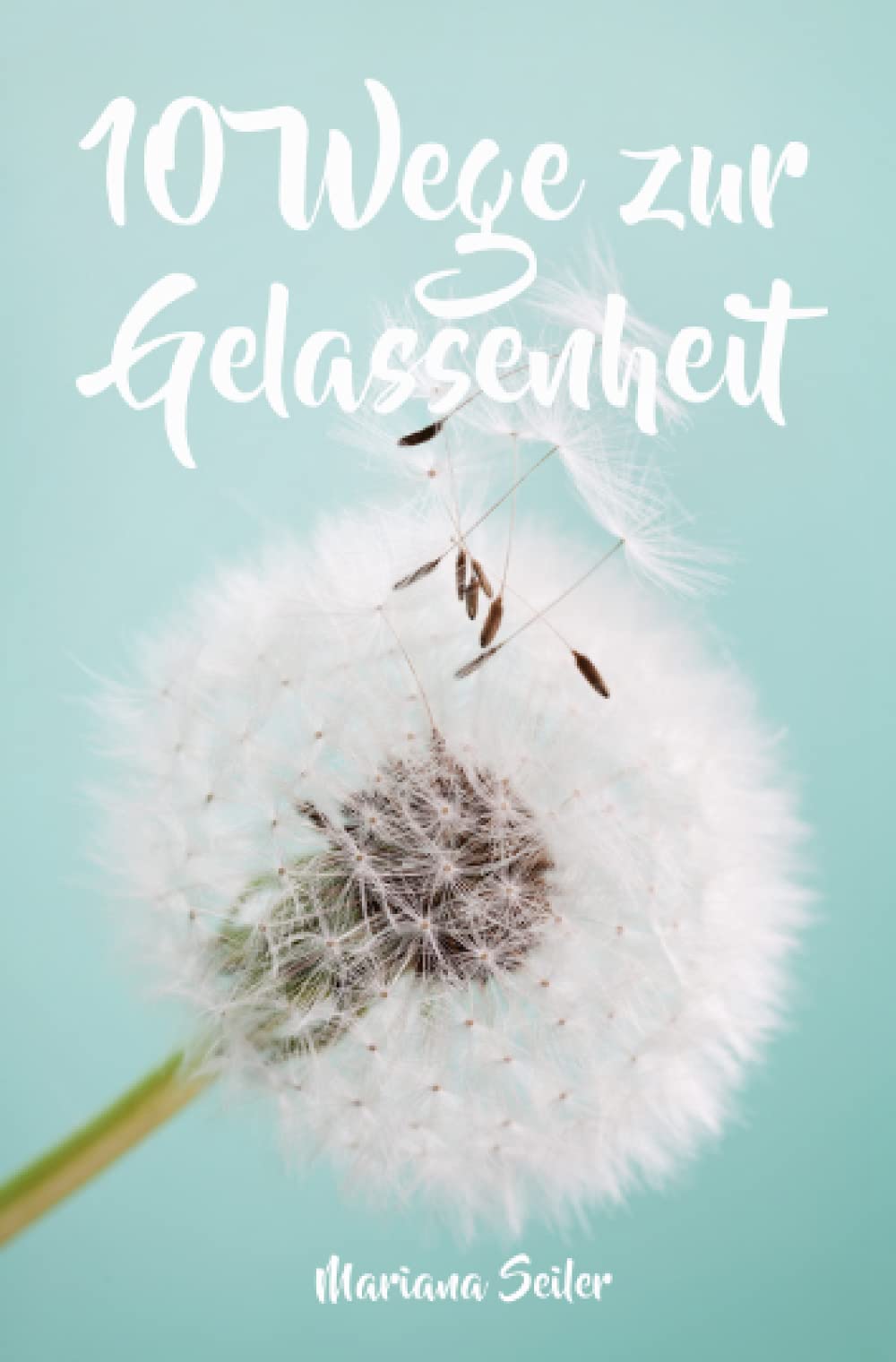Gelassenheit lernen: WIE SIE GELASSENHEIT LERNEN, ÄRGER UND SORGEN LOSLASSEN UND ENTSPANNT UND GLÜCKLICH LEBEN! Die 10 Wege zu Gelassenheit und ... Gelassenheit erreichen, innere Balance) Health, Nutrition & Fitness