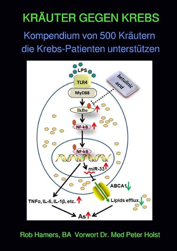 KRÄUTER GEGEN KREBS: Kompendium von 500 Kräutern die Krebs-Patienten unterstützen Health, Nutrition & Fitness