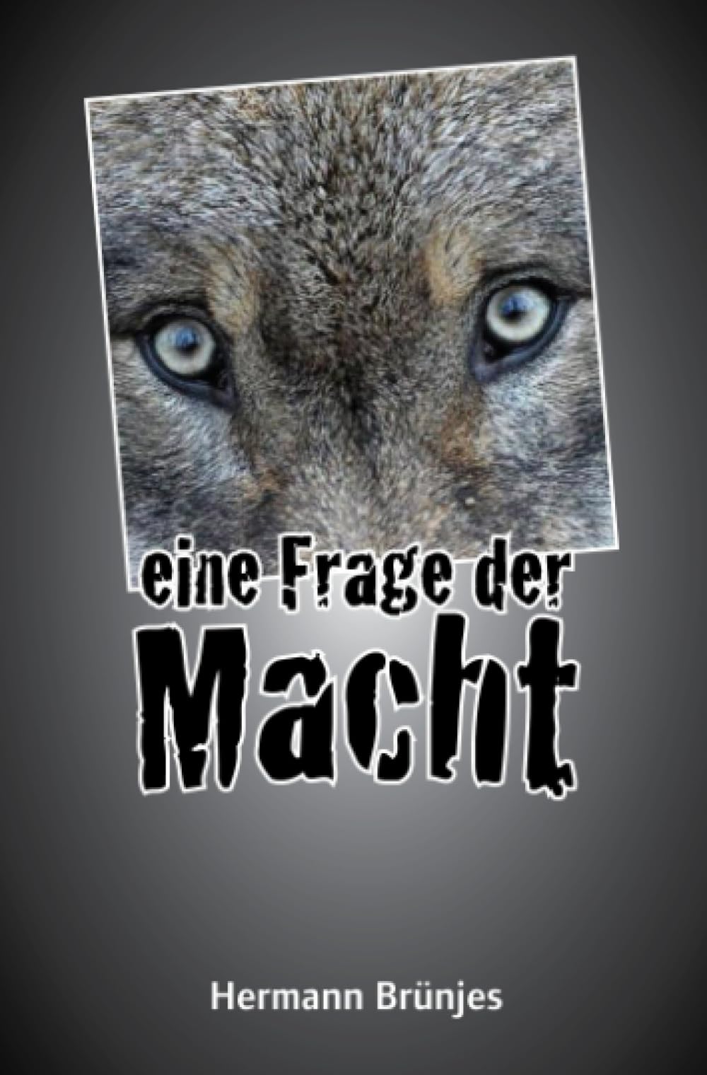 Eine Frage der Macht: Ein Jens Jahnke Krimi book