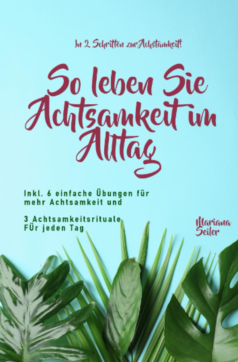 Achtsamkeit: IN 2 SCHRITTEN ZUR ACHTSAMKEIT! So leben Sie Achtsamkeit im Alltag: Inkl. 16 einfache Übungen für mehr Achtsamkeit und 3 Achtsamkeitsrituale für jeden Tag (Mariana Seiler Buchreihe) Lifestyle