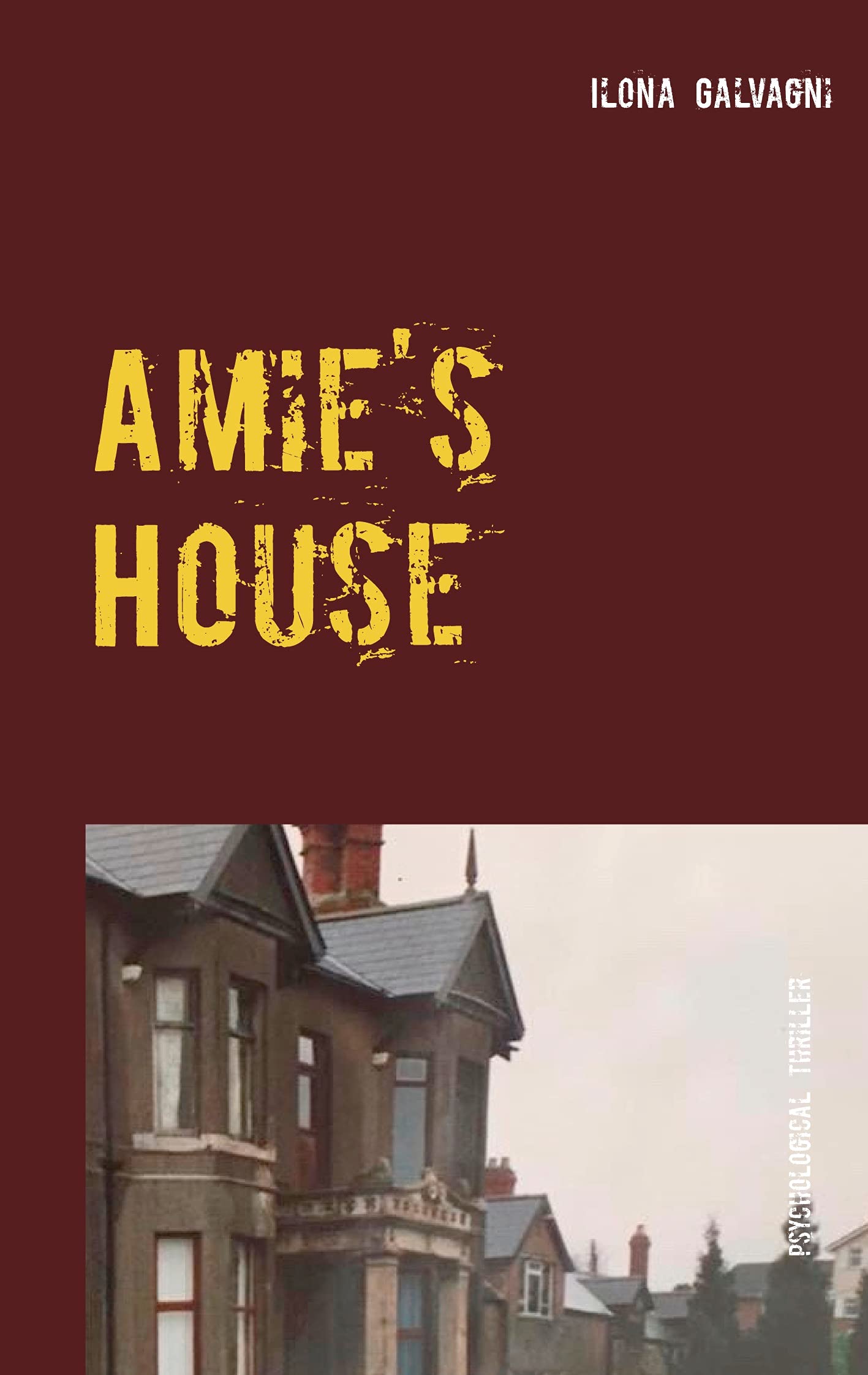 Product Image: Amie's House