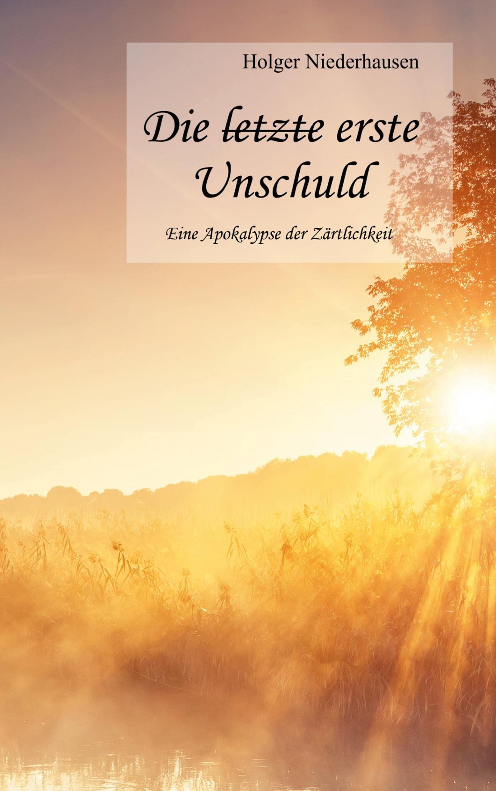 Die erste Unschuld: Eine Apokalypse der Zärtlichkeit Contemporary literature