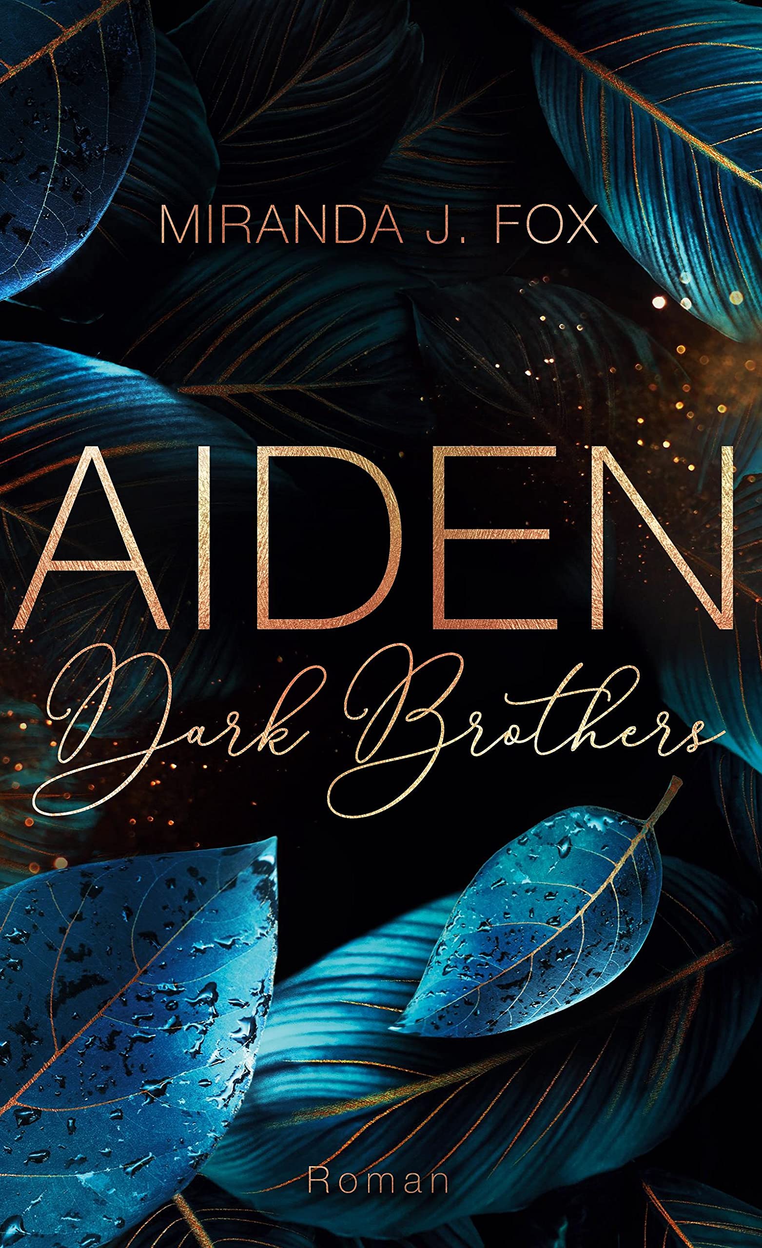 Product Image: AIDEN - Dark Brothers