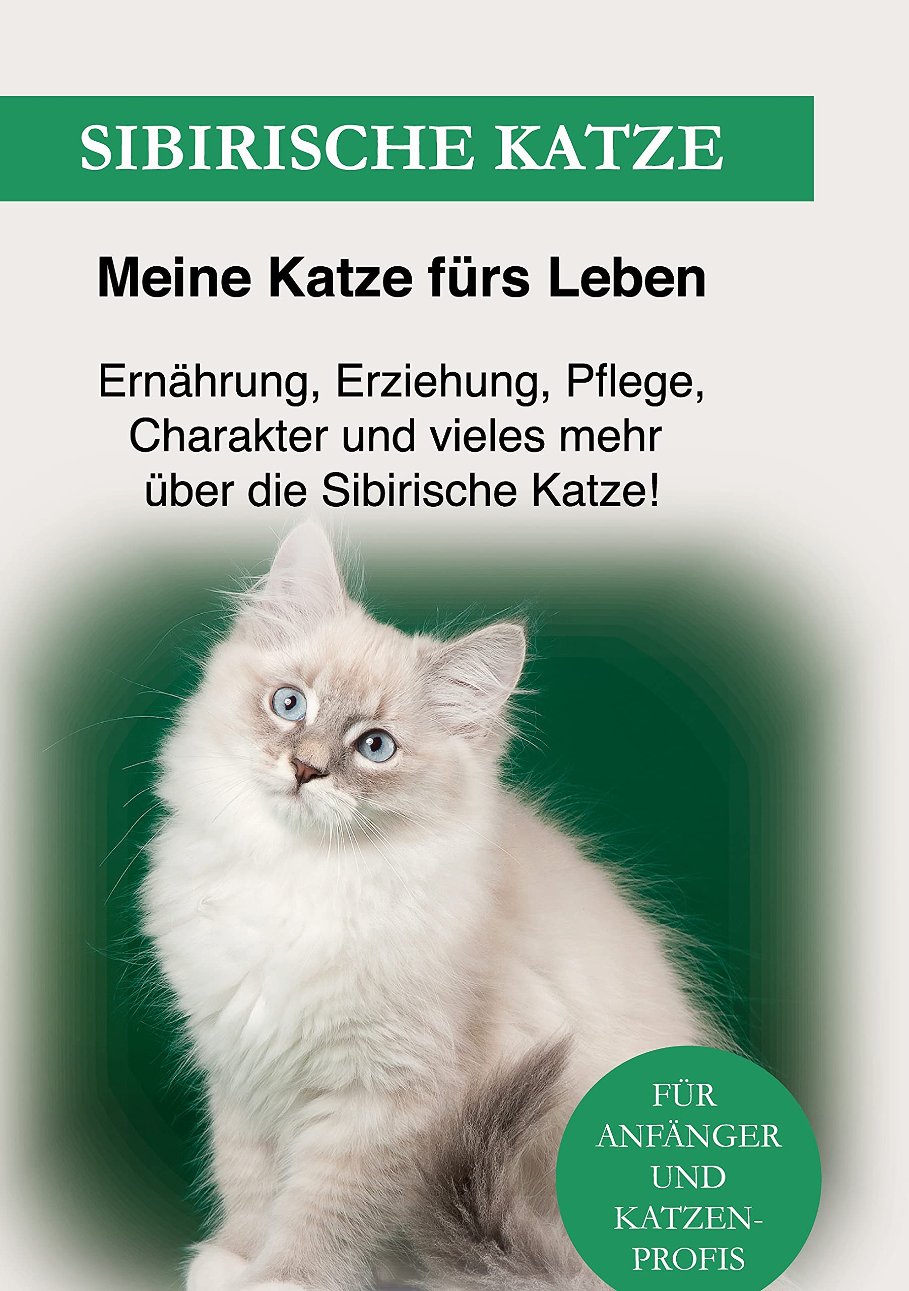 Sibirische Katze: Ernährung, Erziehung, Pflege, Charakter und vieles mehr über die Sibirische Katze Pets