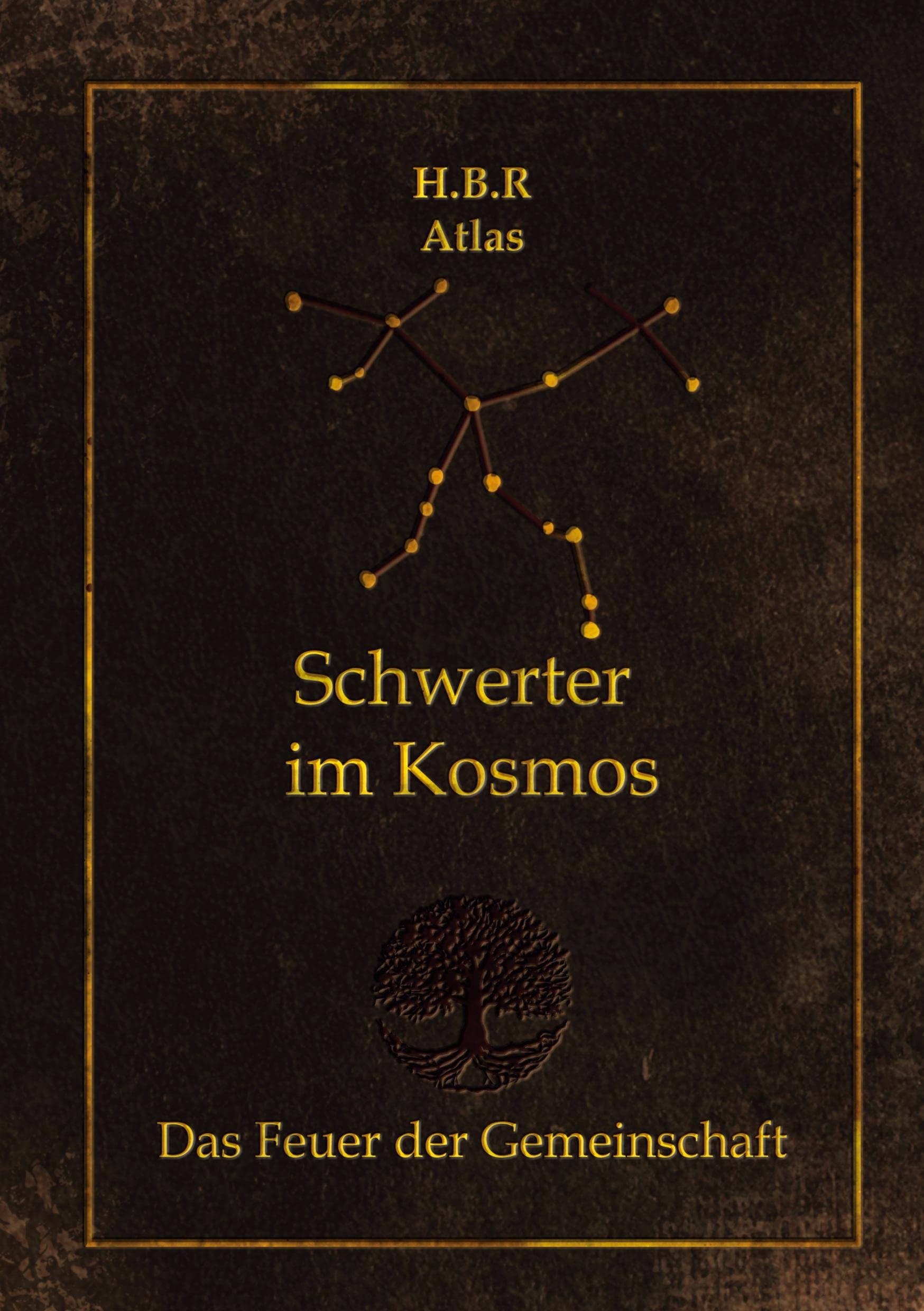 Schwerter im Kosmos: Das Feuer der Gemeinschaft Contemporary literature