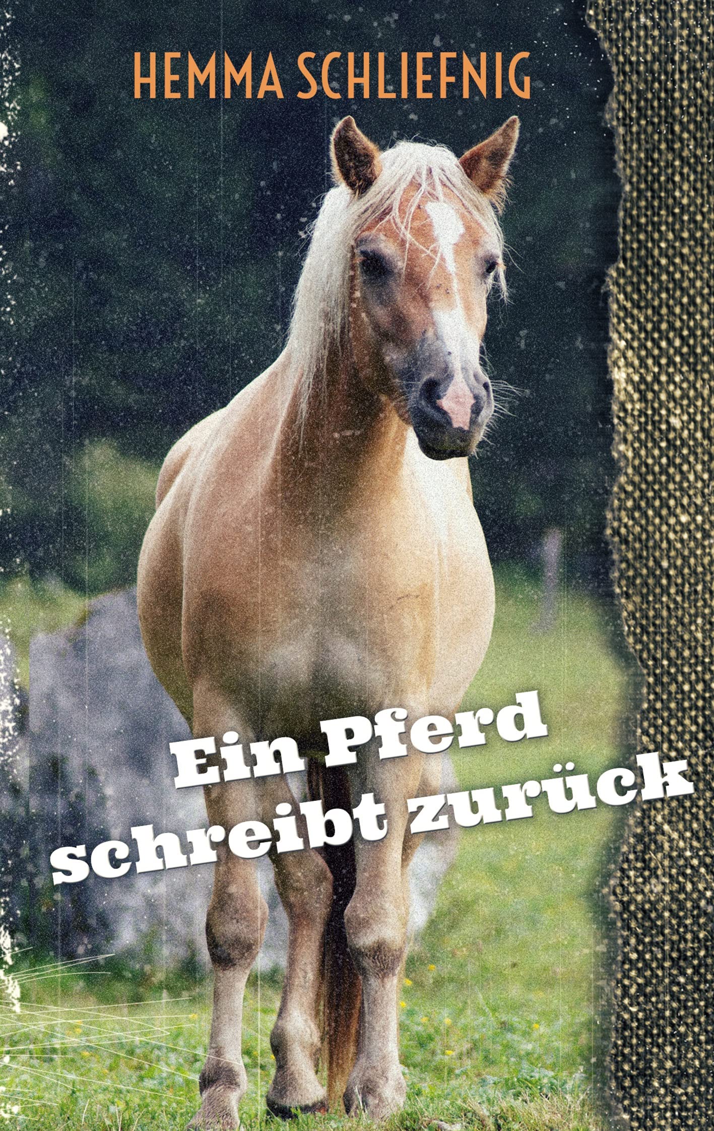 Ein Pferd schreibt zurück Contemporary literature