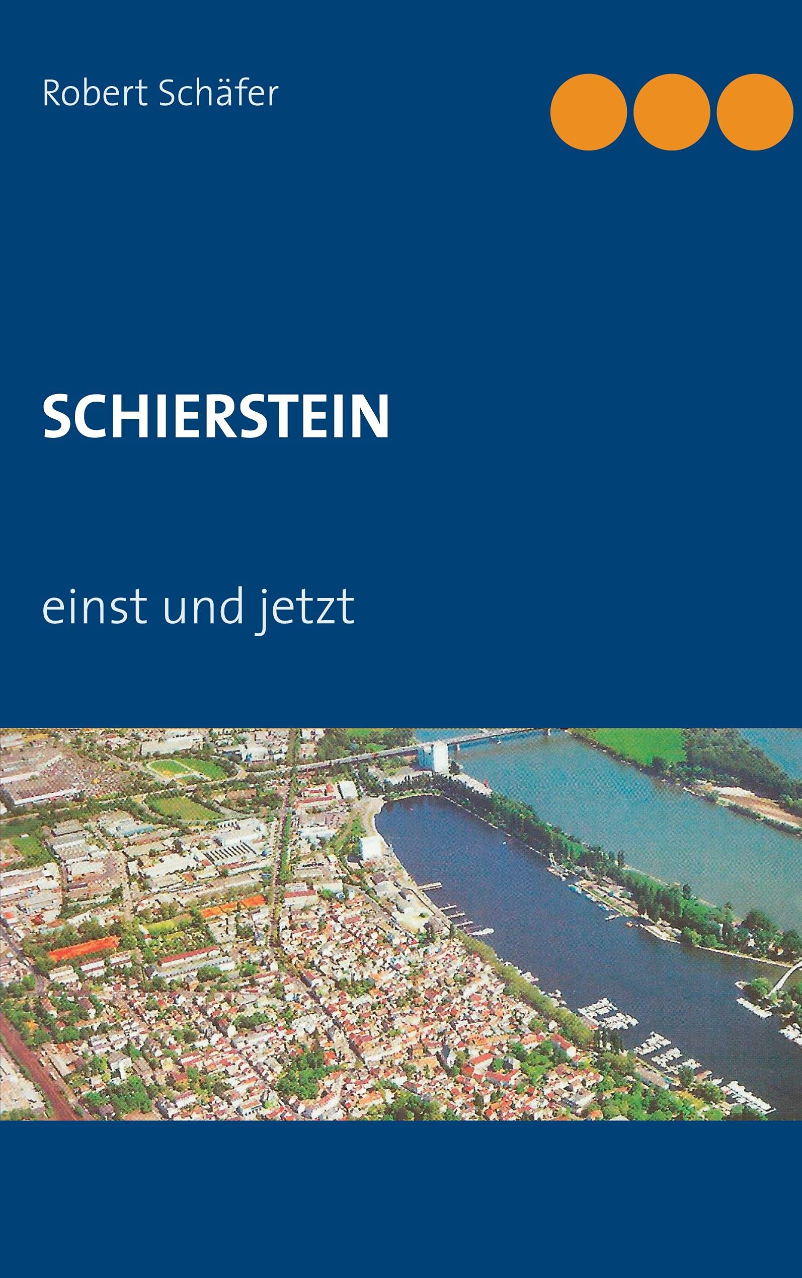 SCHIERSTEIN Politics & History books