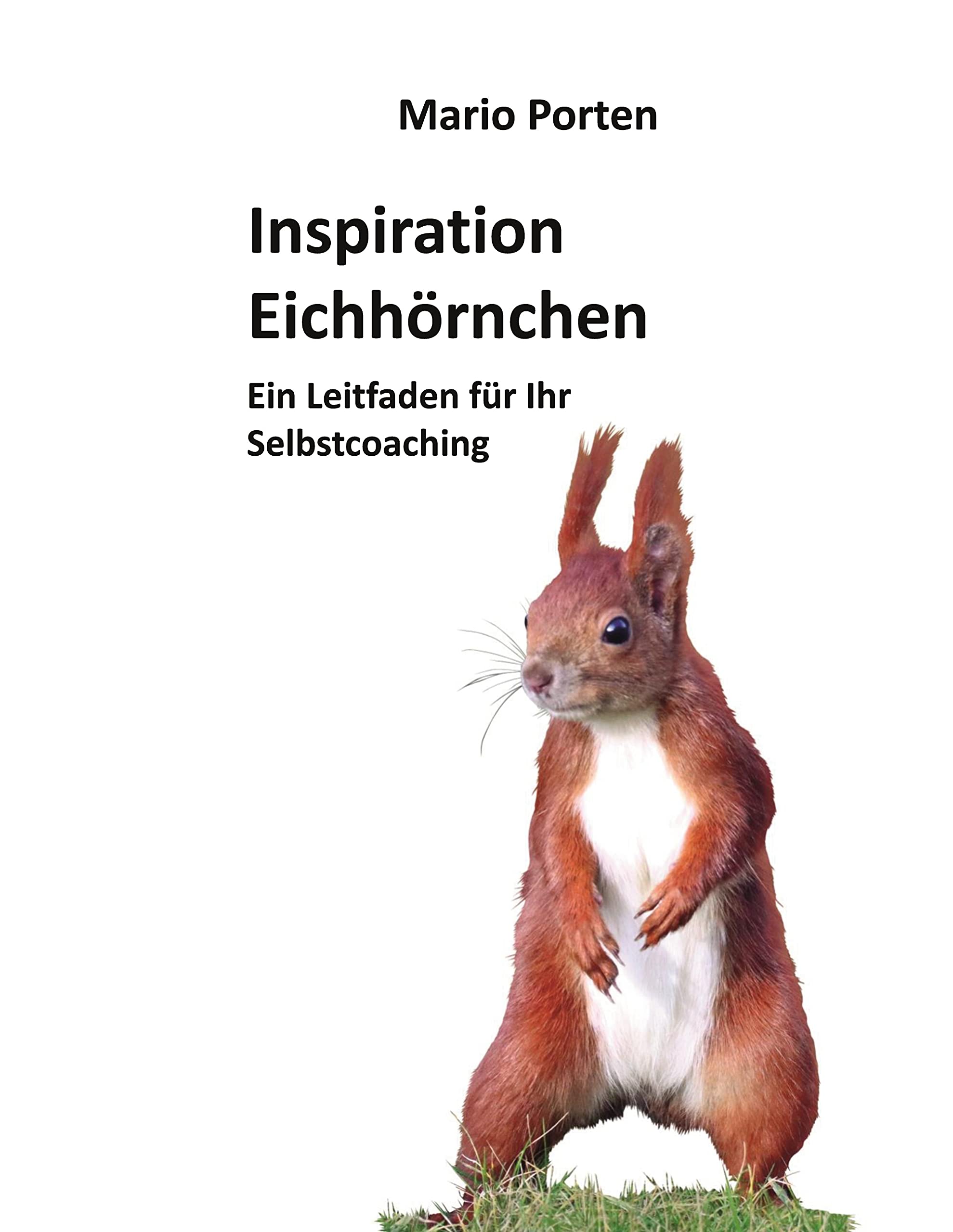 Inspiration Eichhörnchen: Ein Leitfaden für Ihr Selbstcoaching Business, Finance & Career