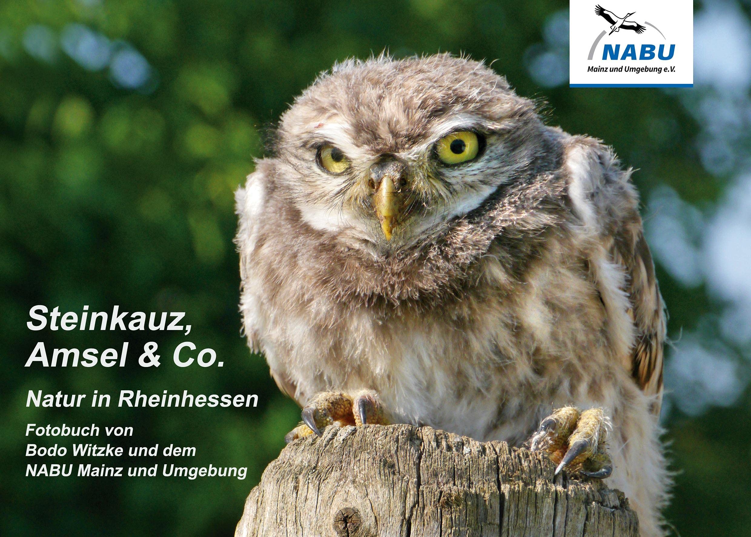 Steinkauz, Amsel & Co.: Natur in Rheinhessen Architecture