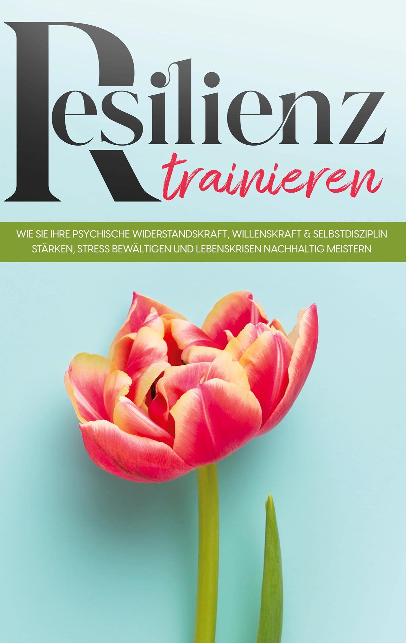Resilienz trainieren: Wie Sie Ihre psychische Widerstandskraft, Willenskraft & Selbstdisziplin stärken, Stress bewältigen und Lebenskrisen nachhaltig meistern Religion & Esotericism