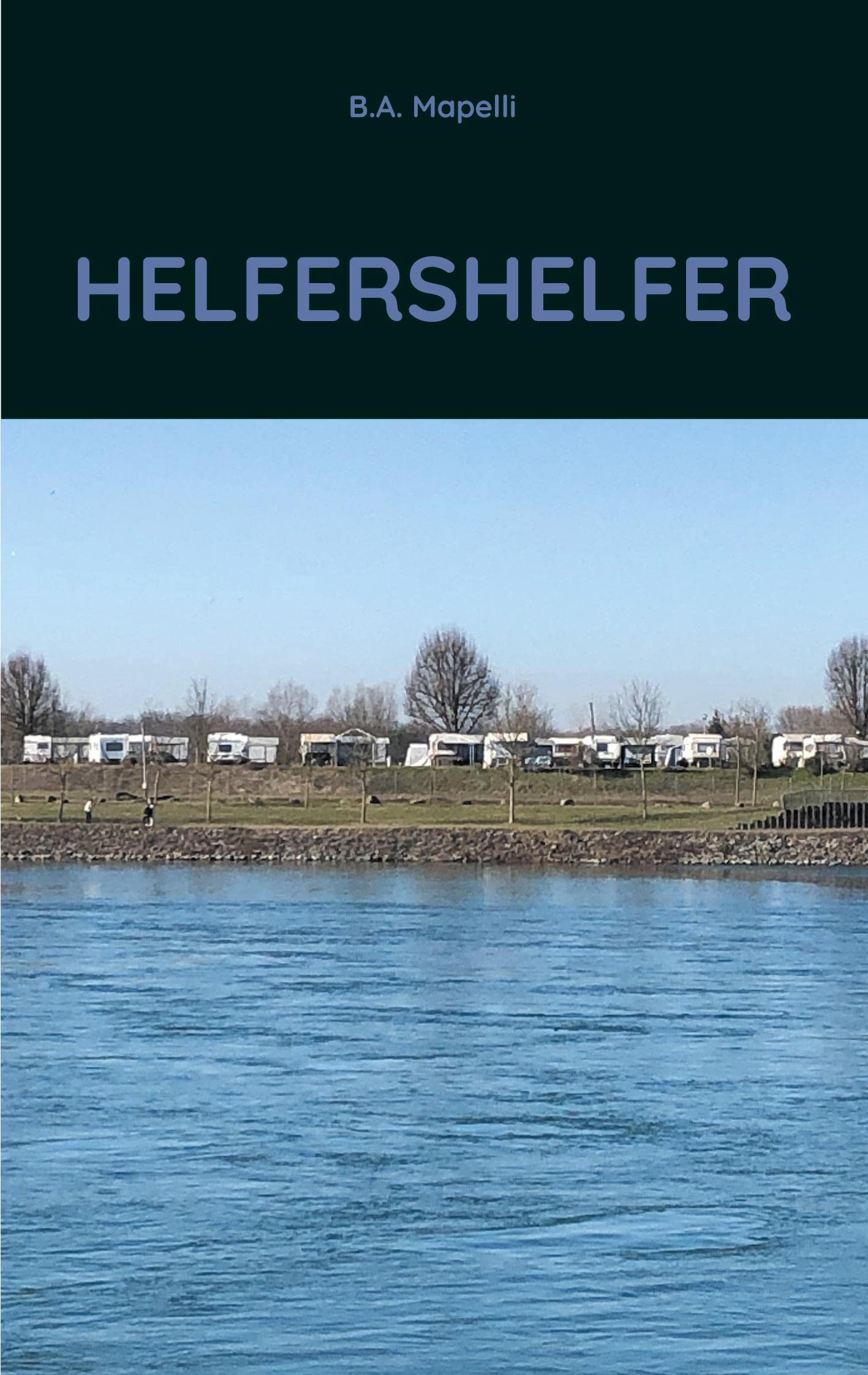 Helfershelfer Contemporary literature Books