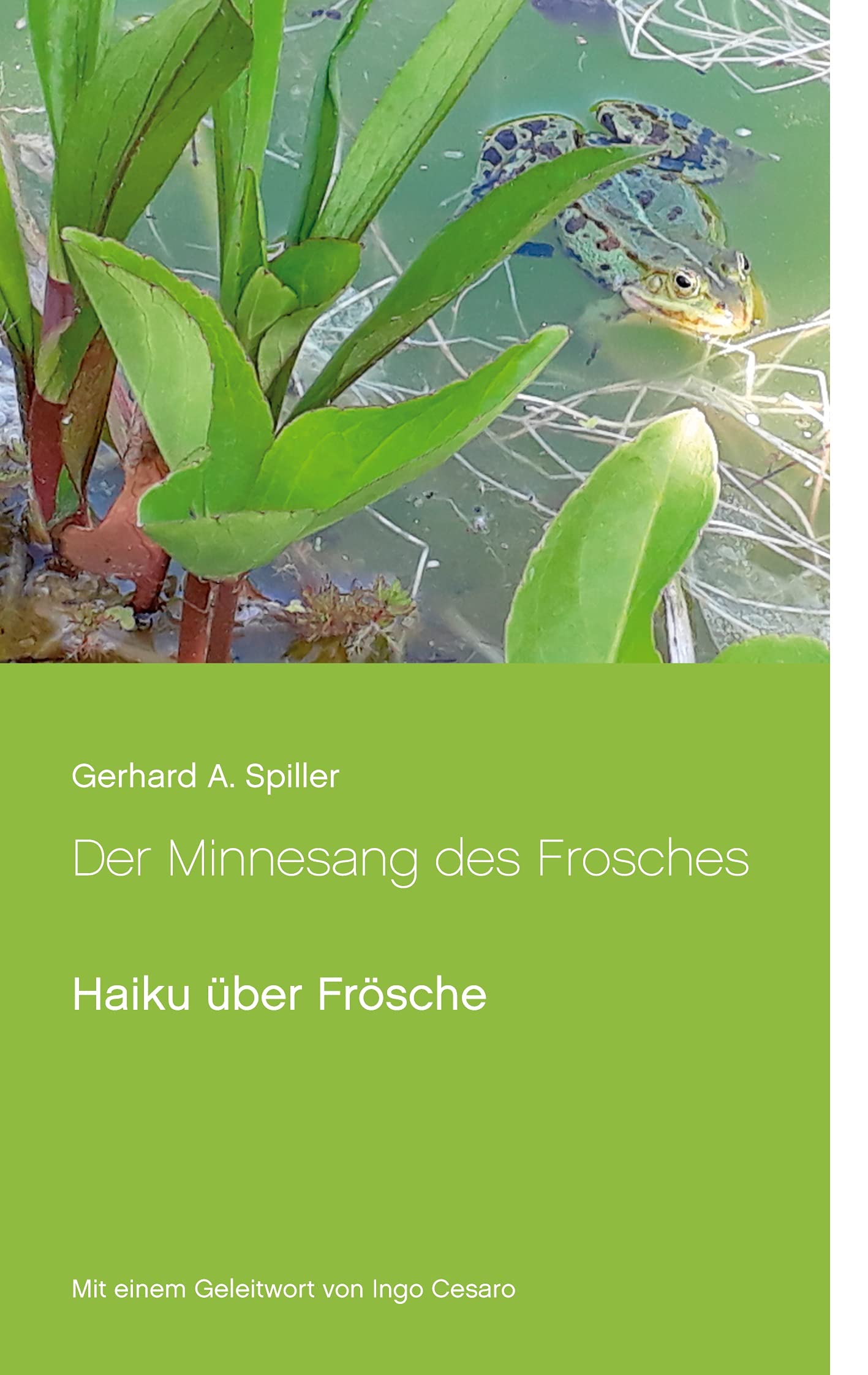Der Minnesang des Frosches: Haiku über Frösche book