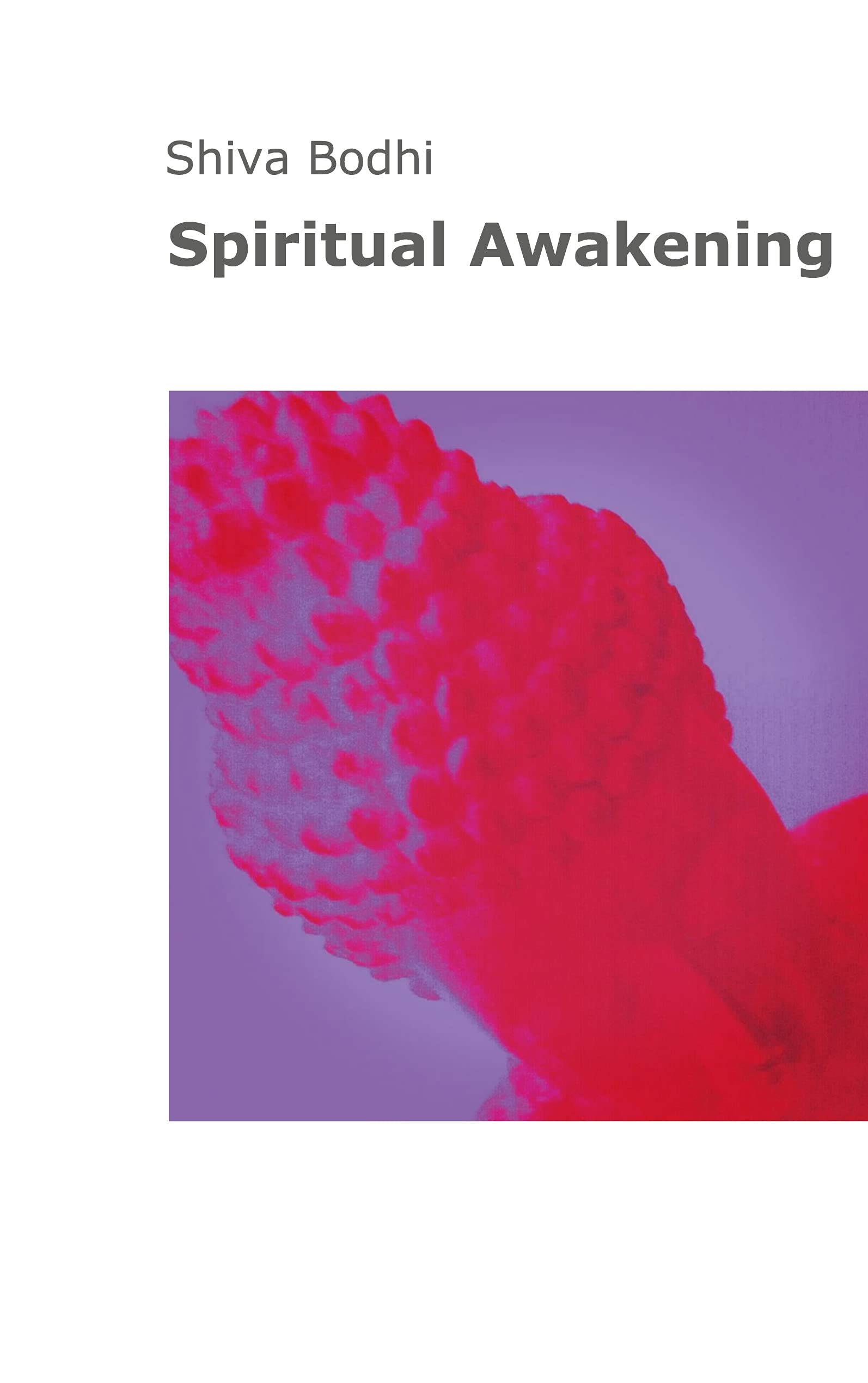 Spiritual Awakening: Thoughts, illusions and aberrations on the path to spiritual awakening for Yogis and Buddhists. Religion & Esotericism