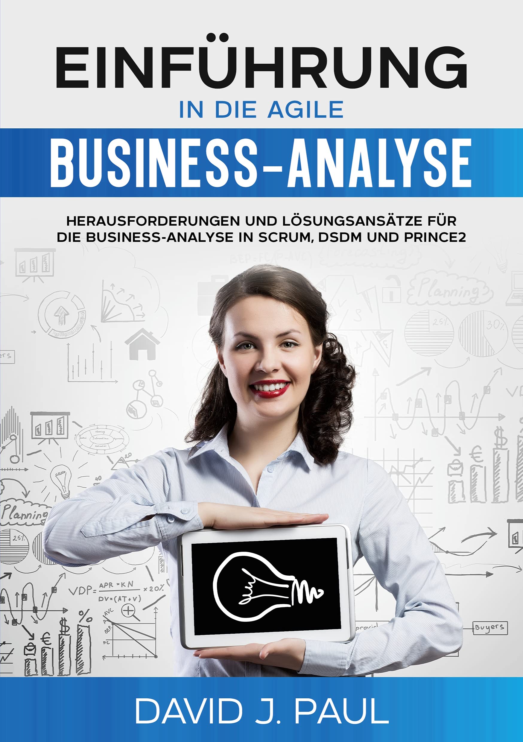 Einführung in die agile Business-Analyse: Herausforderungen und Lösungsansätze für die Business-Analyse in Scrum, DSDM und Prince2 Business, Finance & Career