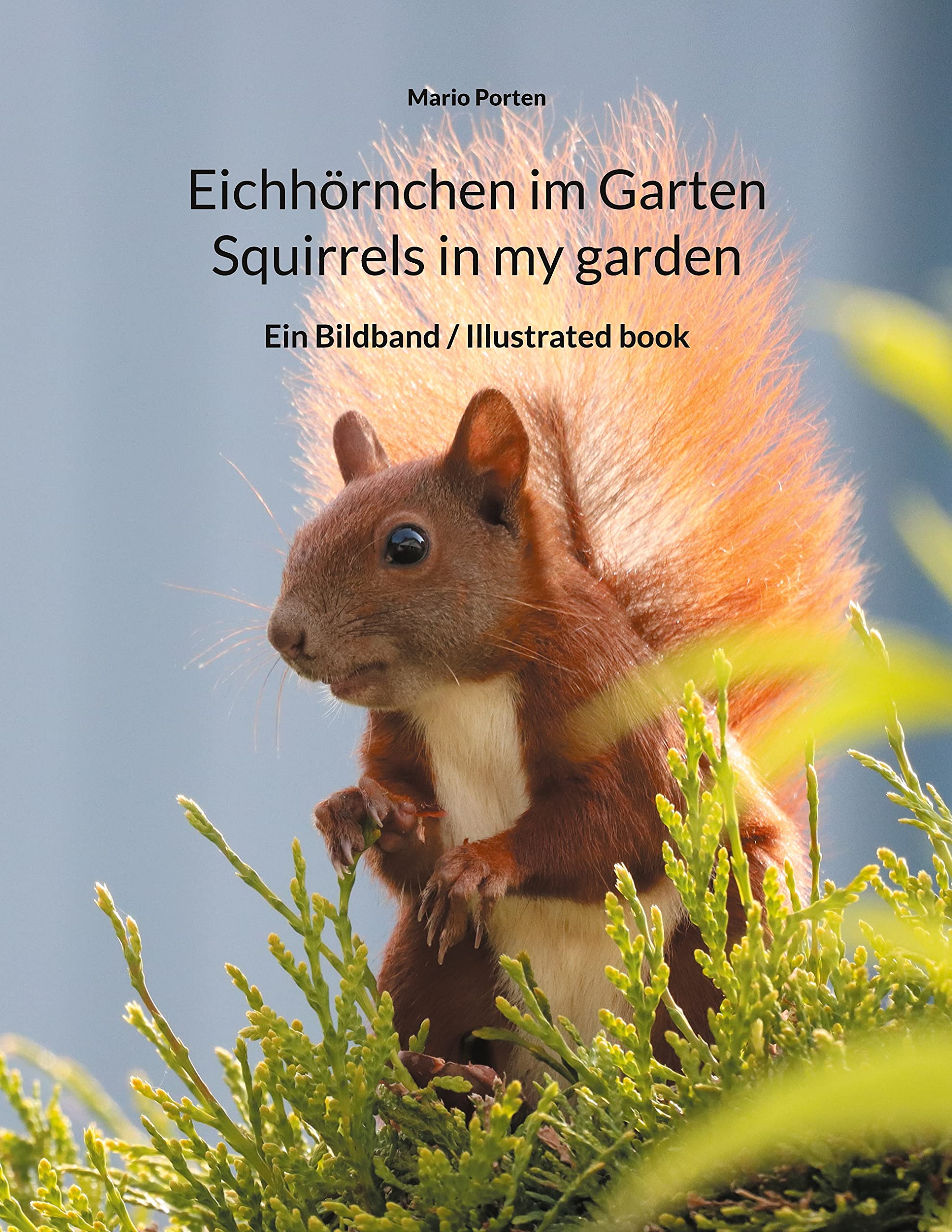 Eichhörnchen im Garten / Squirrels in my garden: Ein Bildband / Illustrated book Mathematics