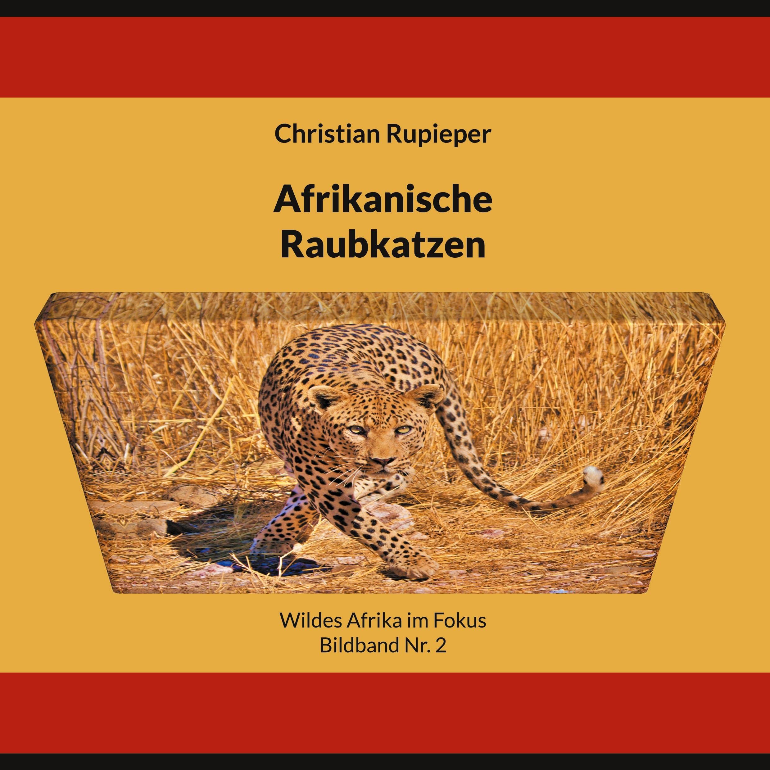 Afrikanische Raubkatzen: Wildes Afrika im Fokus - Bildband Nr. 2 Leisure, Home & Garden