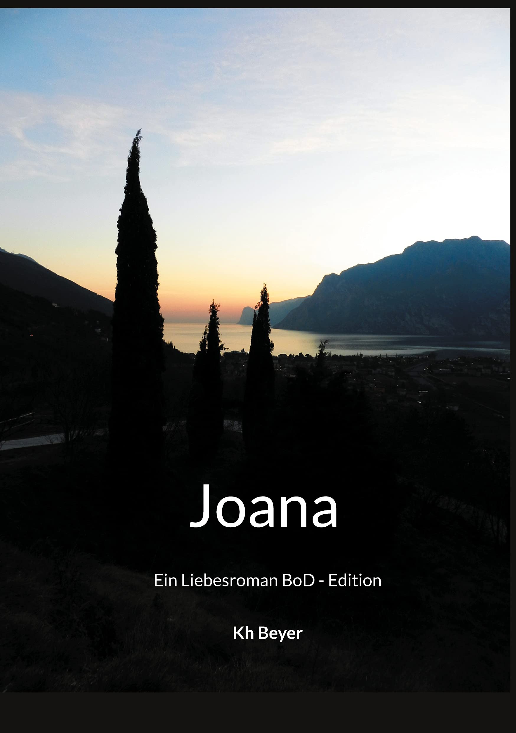 Joana: Ein Liebesroman (Der Saisonkoch) Contemporary literature