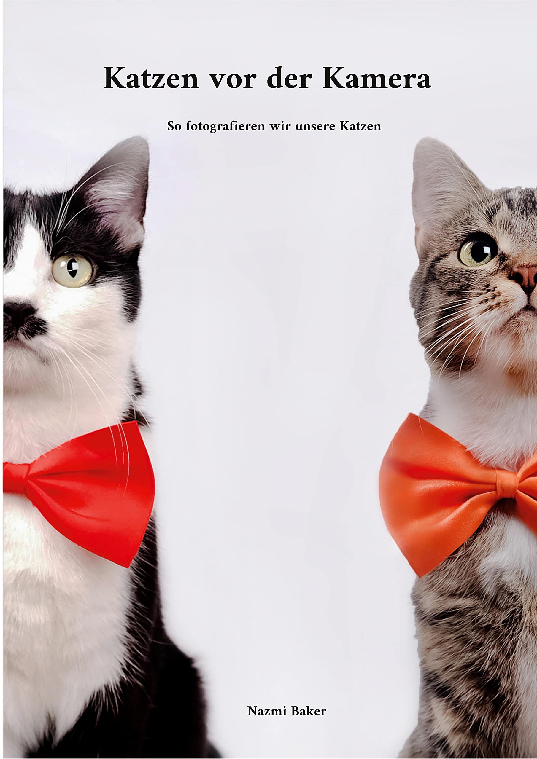Katzen vor der Kamera: So fotografieren wir unsere Katzen Photography
