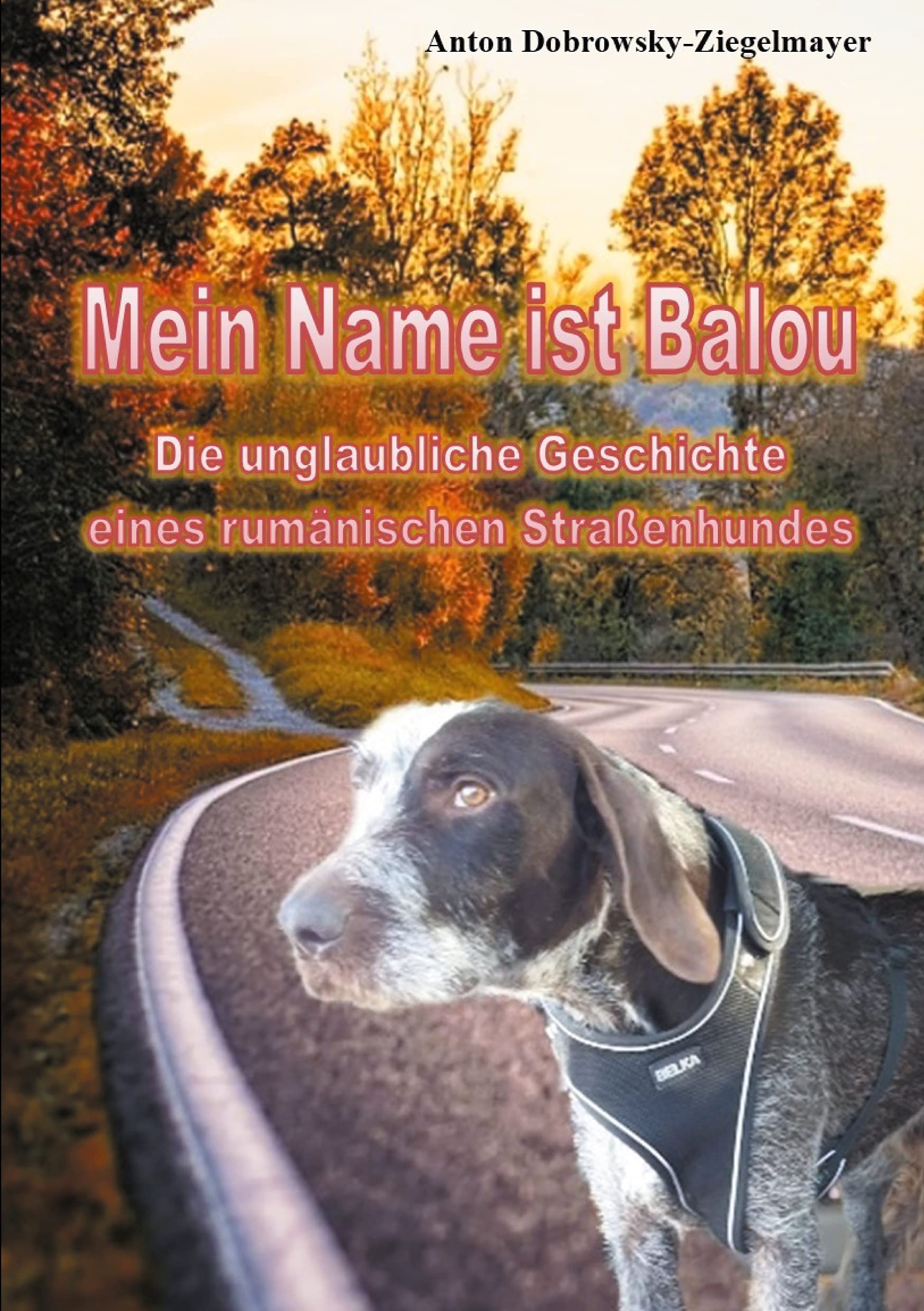 Mein Name ist Balou book