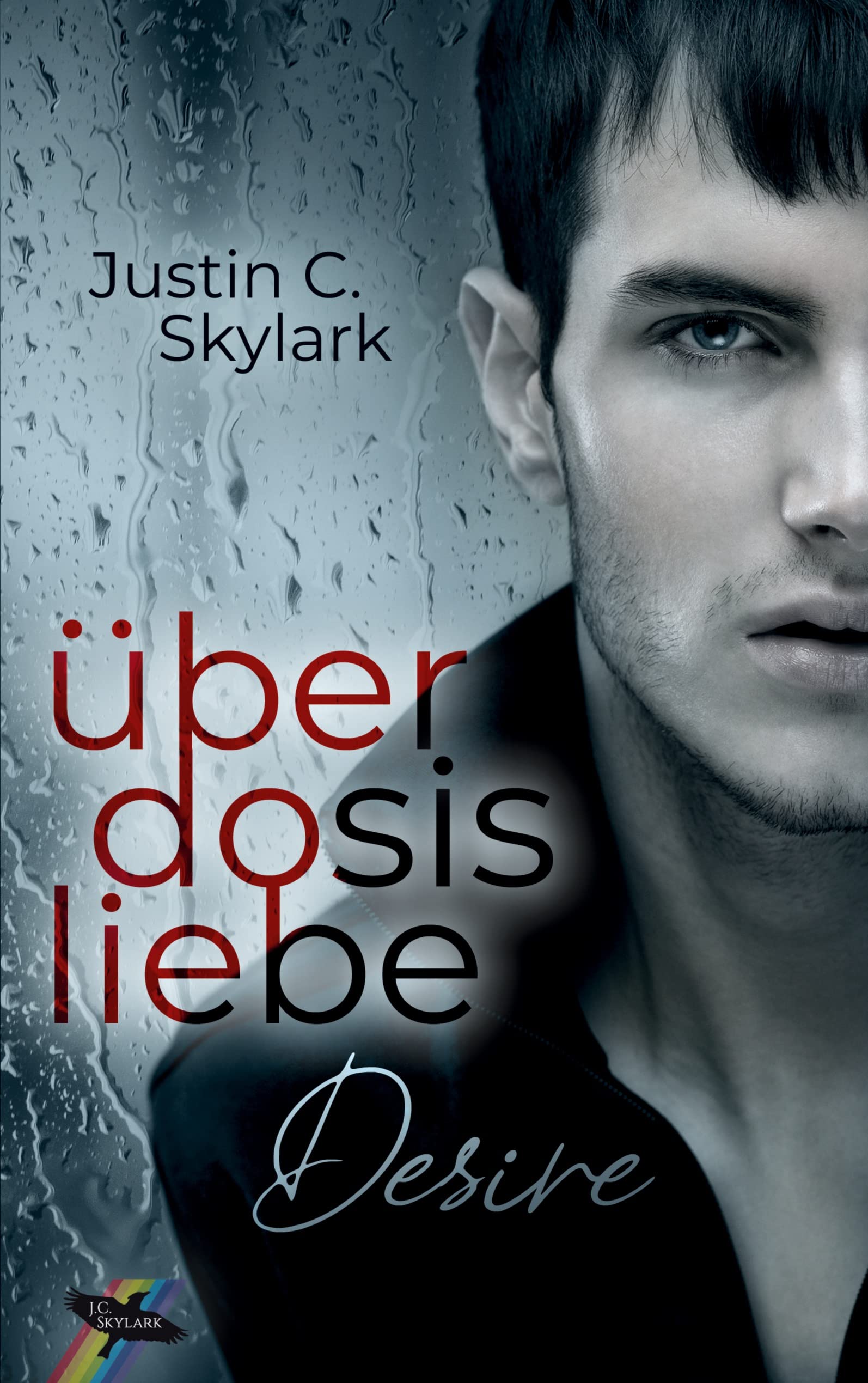 Überdosis Liebe: Desire (Neal Anderson) Contemporary literature