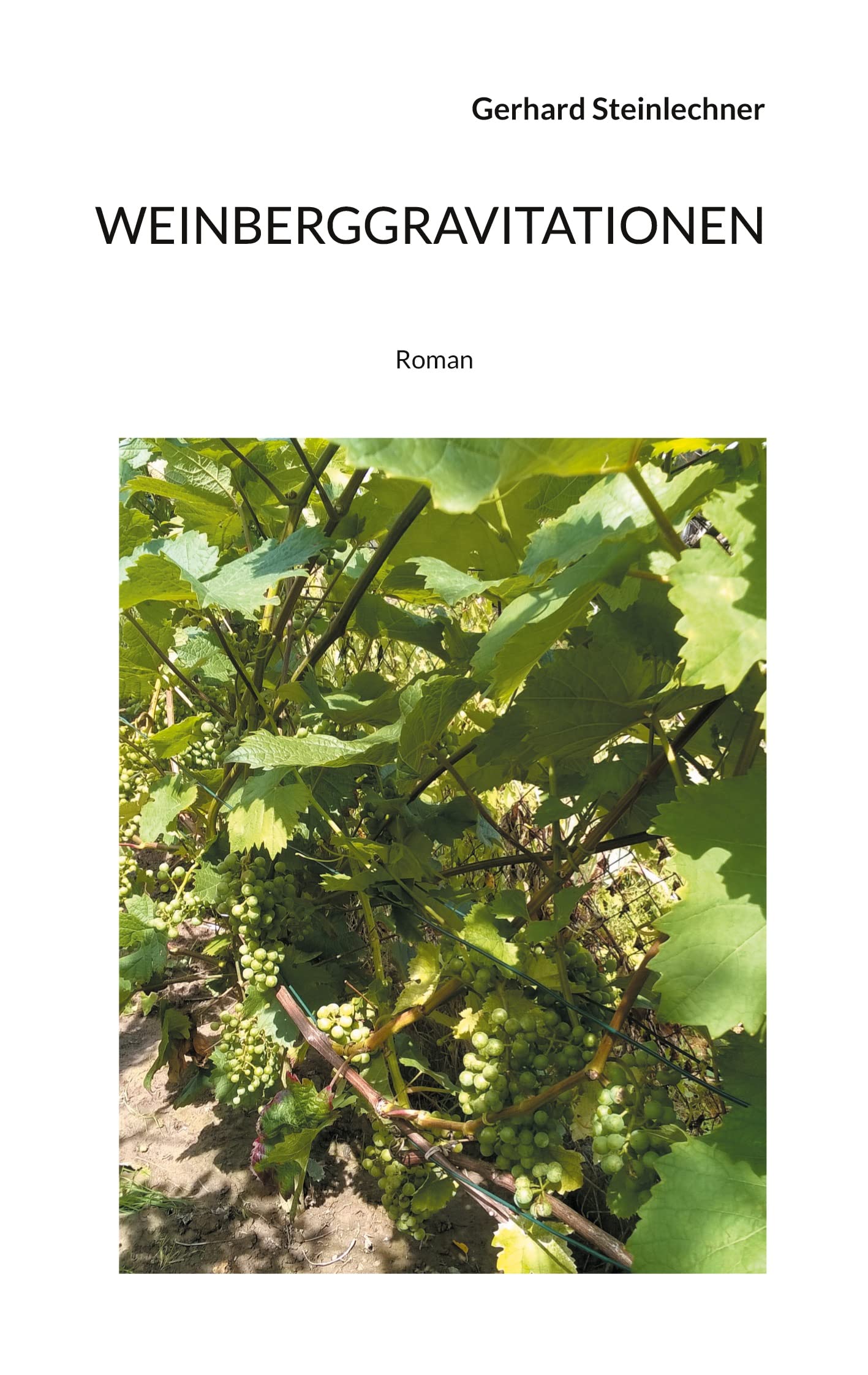 Product Image: Weinberggravitationen