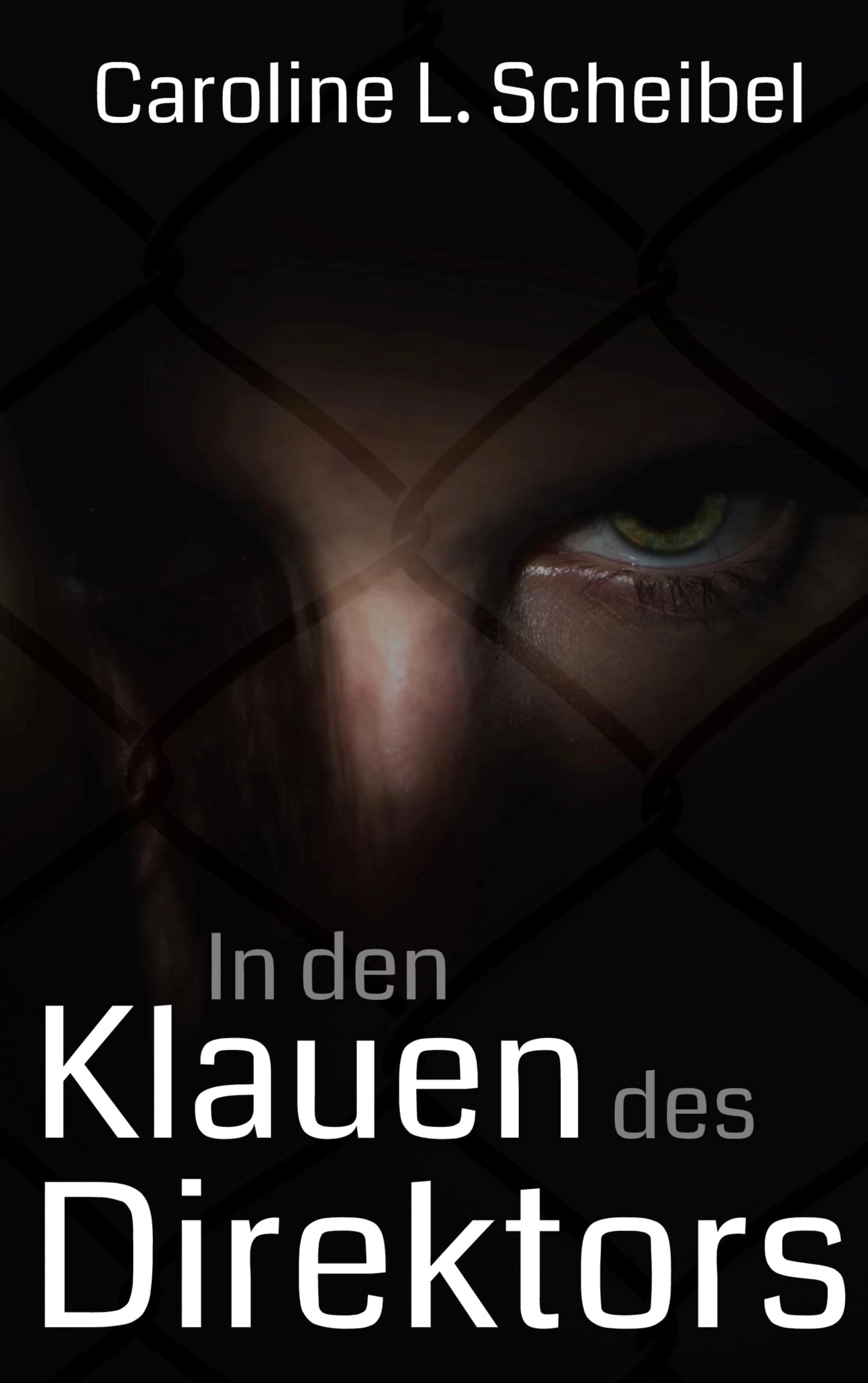 In den Klauen des Direktors (Direktor-Marek-Dilogie, Band 1) Contemporary literature