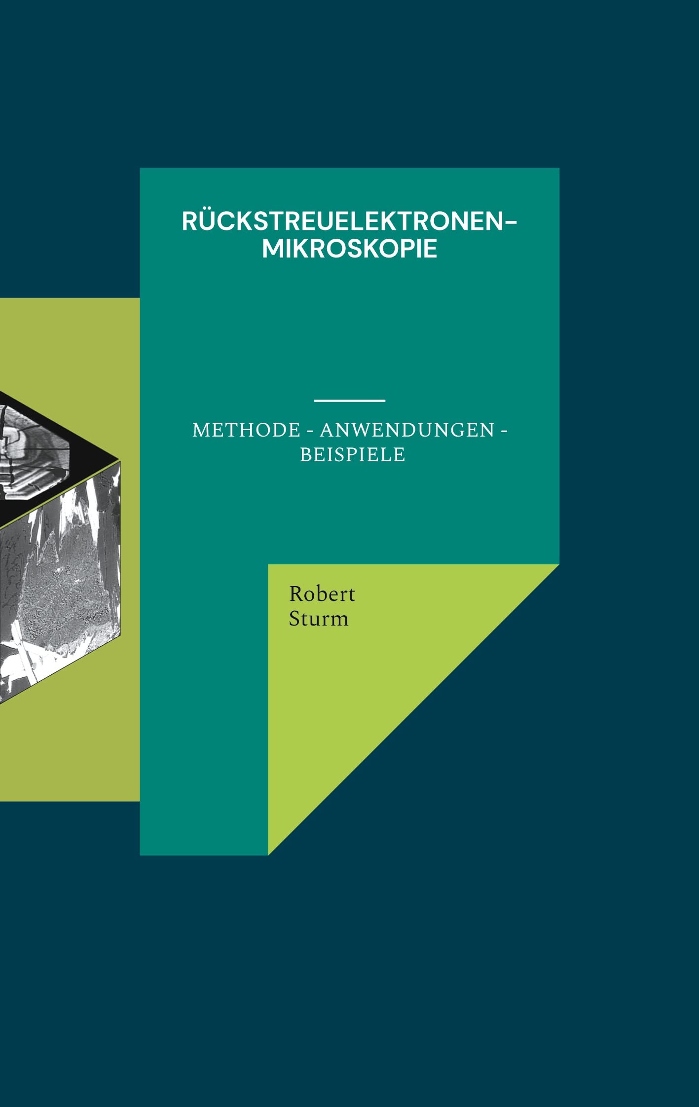 Rückstreuelektronenmikroskopie: Methode - Anwendungen - Beispiele Business & Technology
