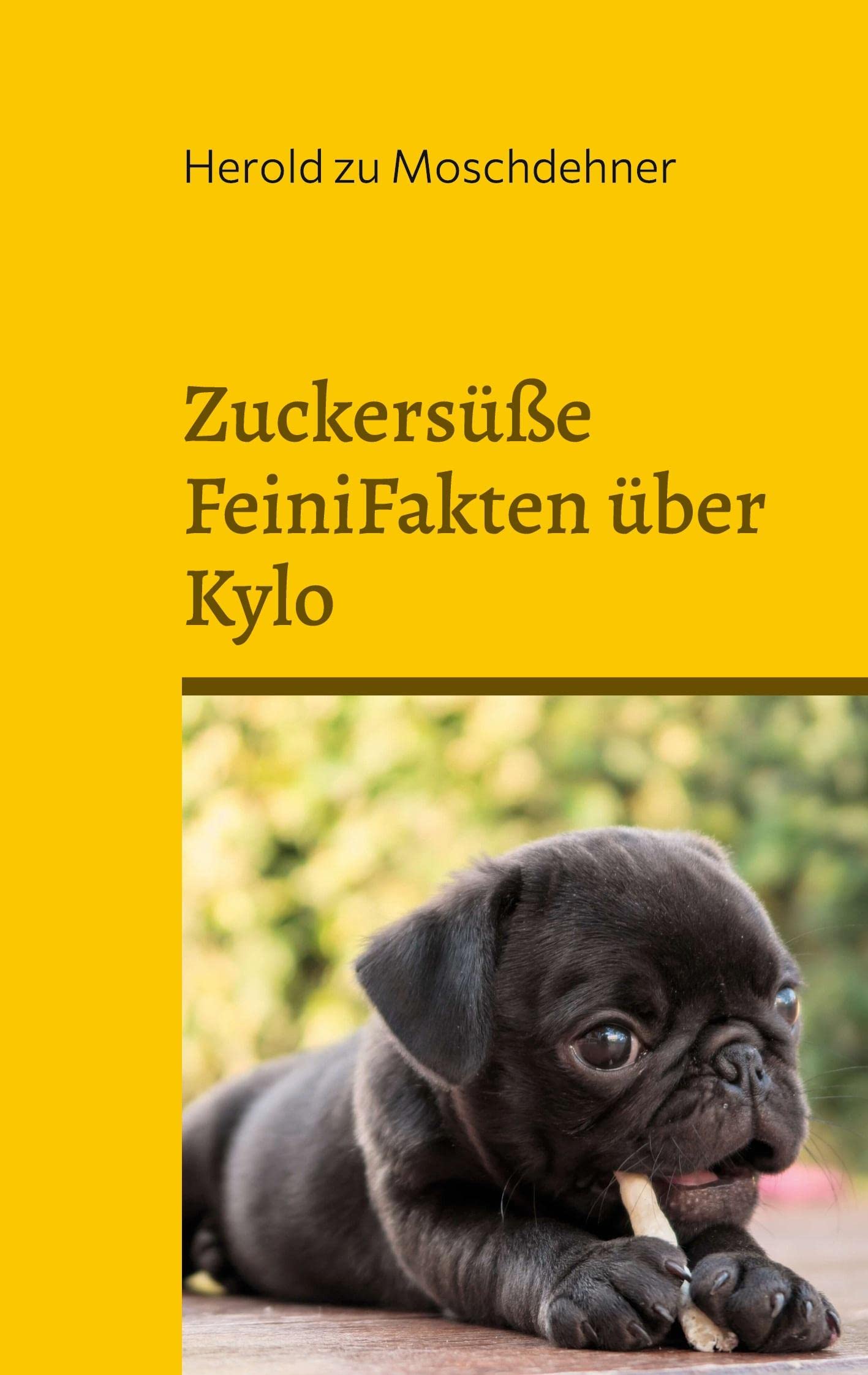 Zuckersüße FeiniFakten über Kylo Media & Communication