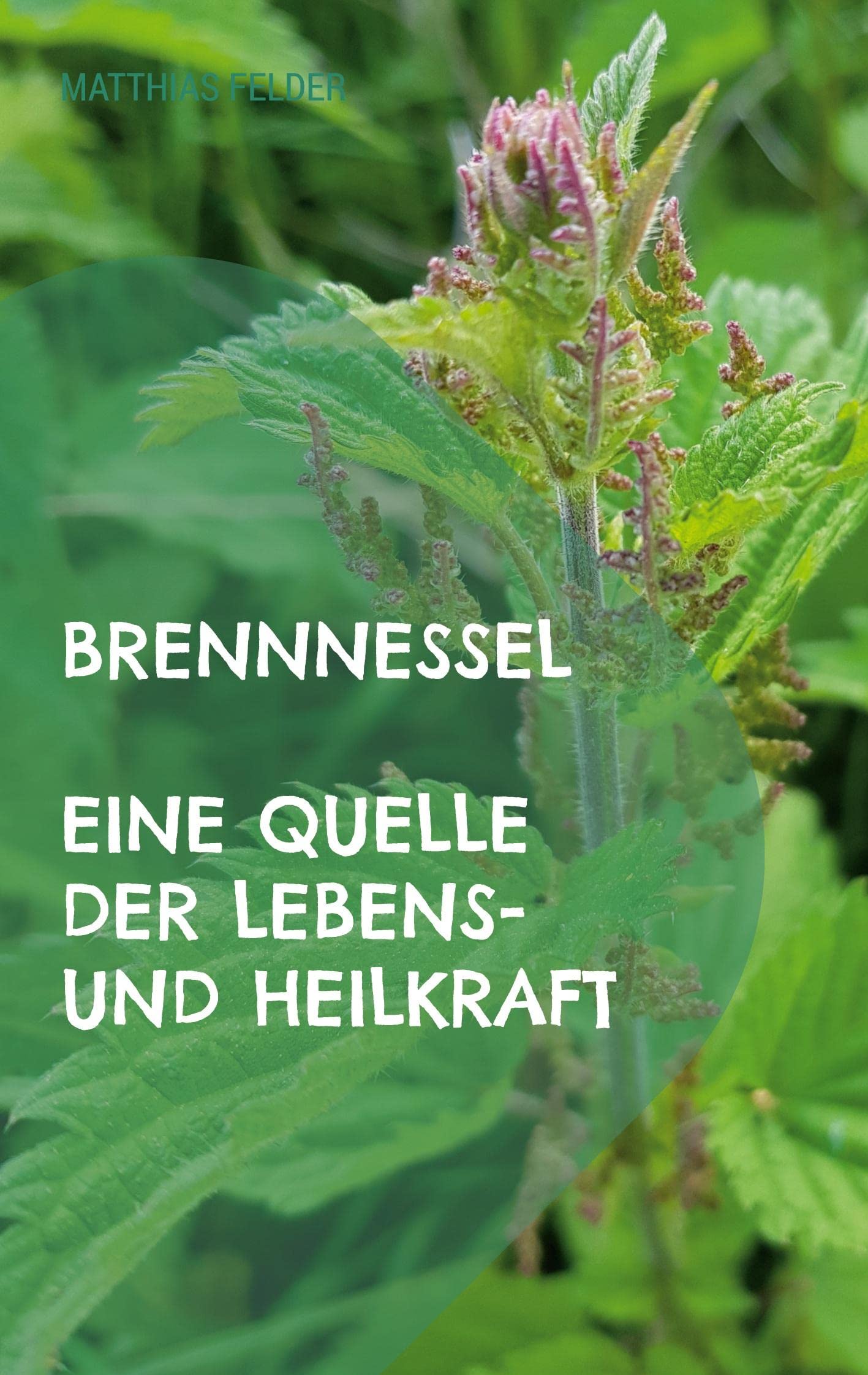 Brennnessel Health, Nutrition & Fitness Books