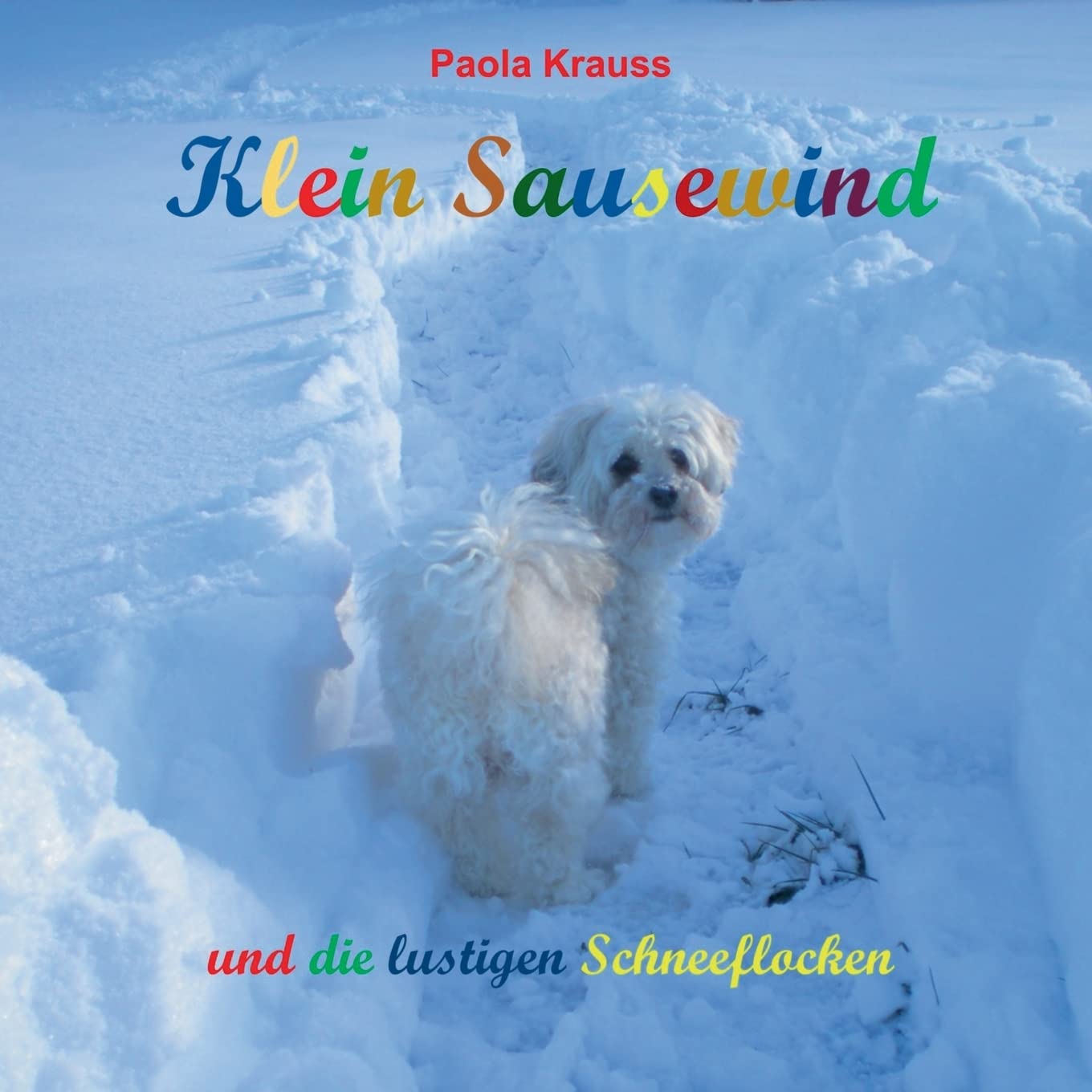 Klein Sausewind: und die lustigen Schneeflocken Novels & Short Stories