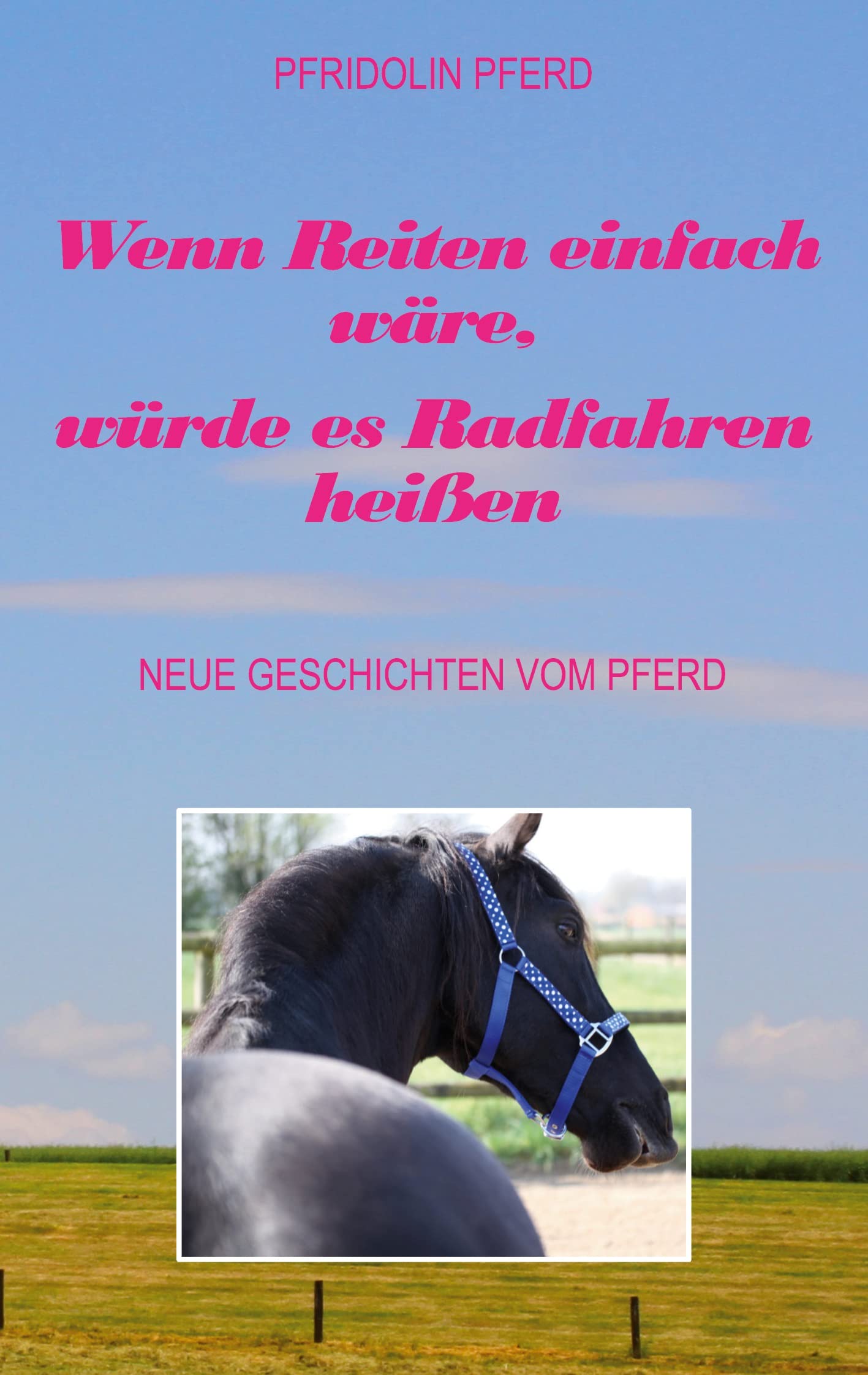 Wenn Reiten einfach wäre, würde es Radfahren heißen Humour & Satire