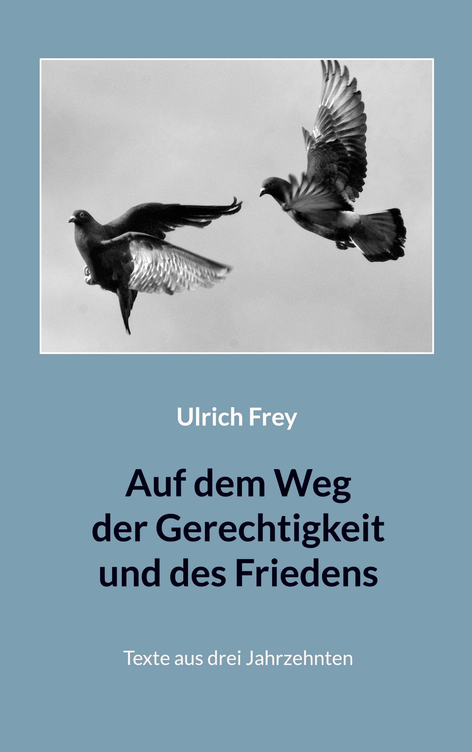 Auf dem Weg der Gerechtigkeit und des Friedens: Texte aus drei Jahrzehnten (edition pace extra) Social Sciences