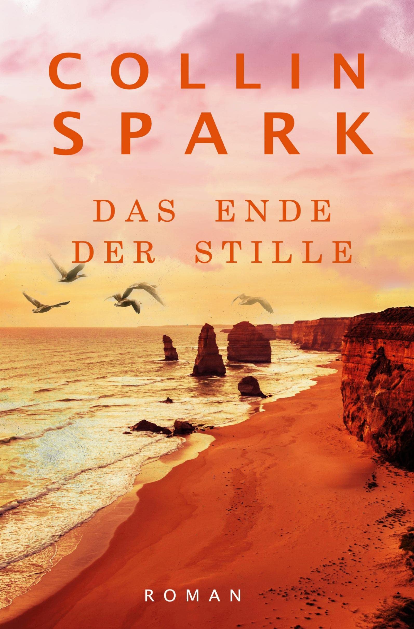 Das Ende der Stille: Jenna und Luc 1 Contemporary literature