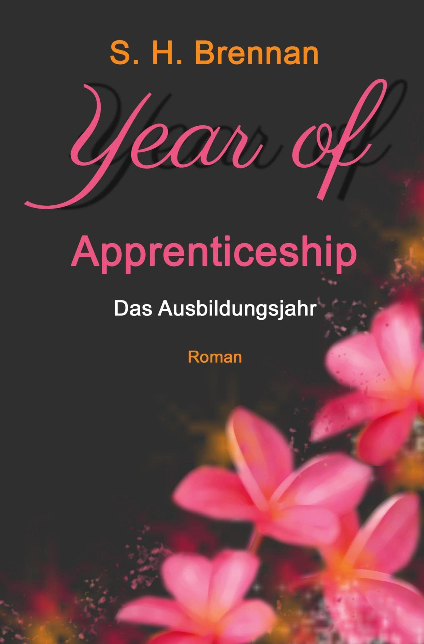 year of apprenticeship: Das Ausbildungsjahr Contemporary literature