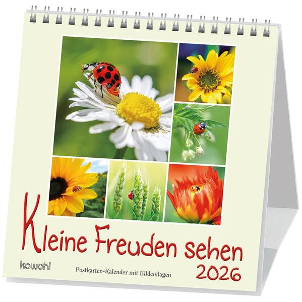 Kleine Freuden sehen 2026: Postkarten-Kalender mit Bildcollagen Calendars