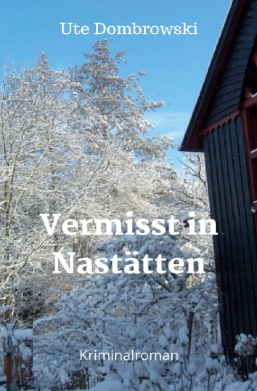 Vermisst in Nastätten (Blaues-Ländchen-Krimi) Contemporary literature