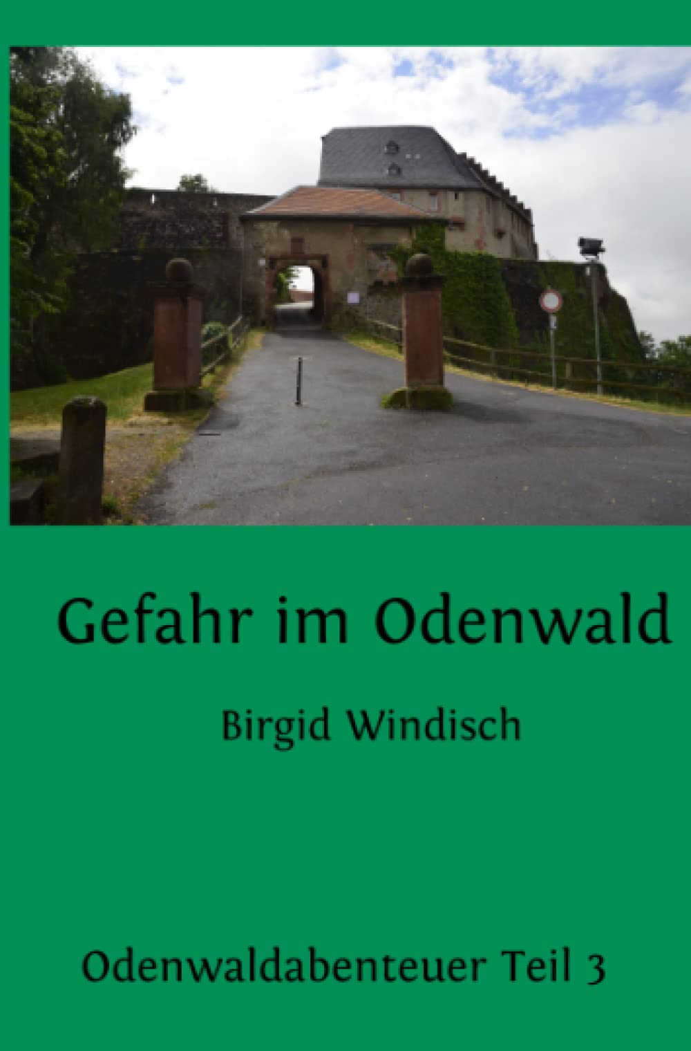 Gefahr im Odenwald: Liebe kennt keine Zeit (Abenteuer im Odenwald) Historical Fiction