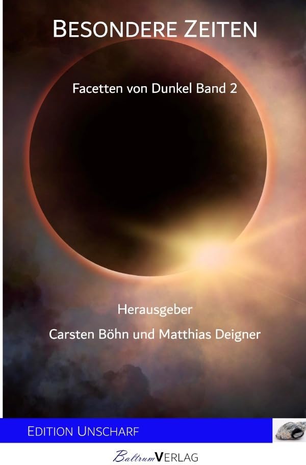 Besondere Zeiten: Facetten von Dunkel Band 2 Contemporary literature