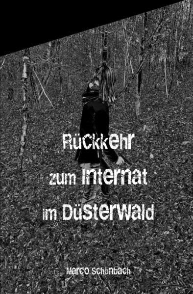 Rückkehr zum Internat im Düsterwald Contemporary literature