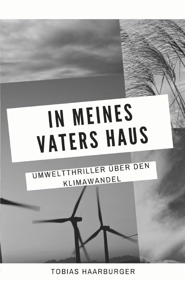 In meines Vaters Haus: Wirtschaftsthriller über den Klimawandel Action & Adventure