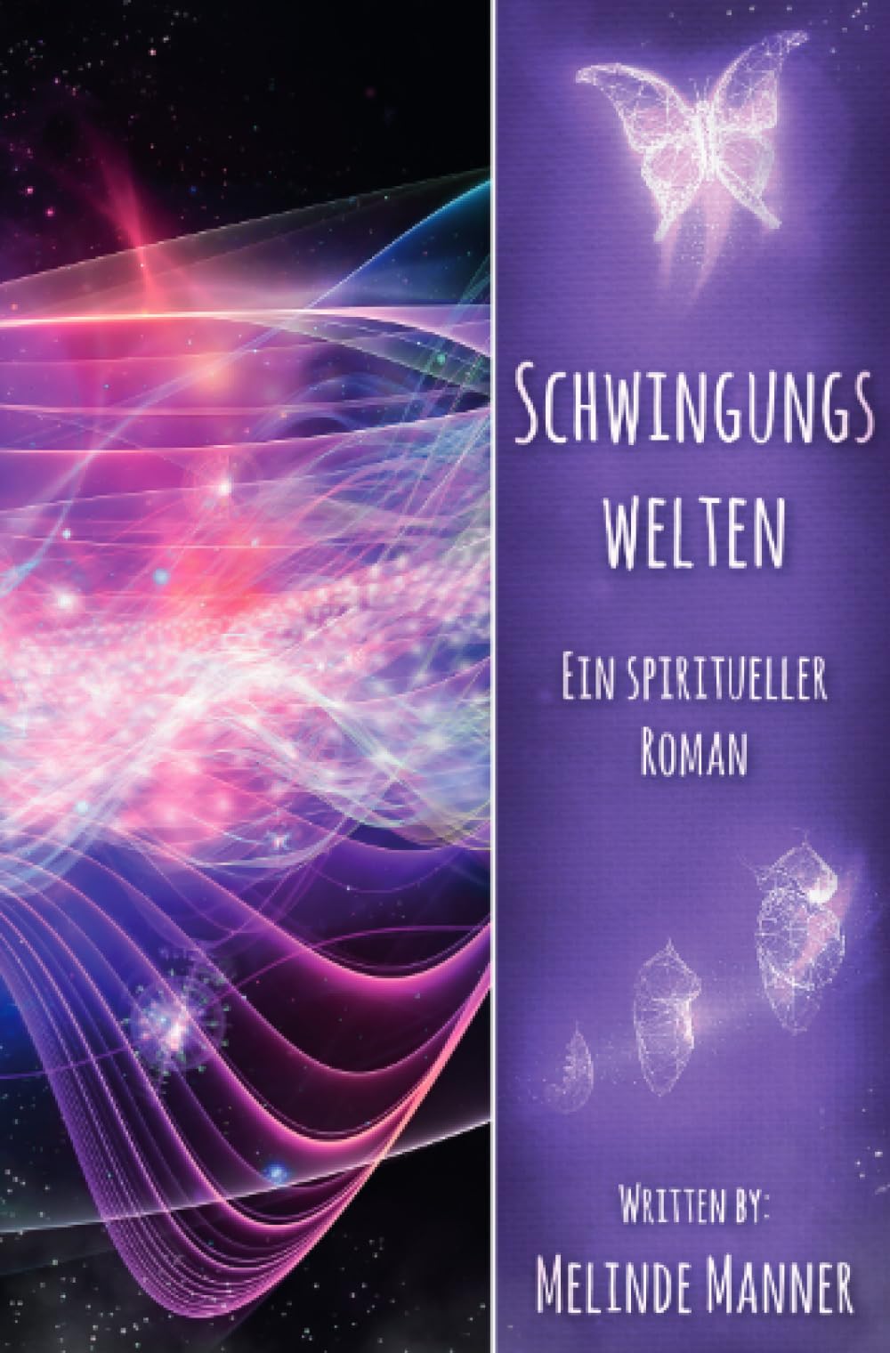 Schwingungswelten: Ein spiritueller Roman book