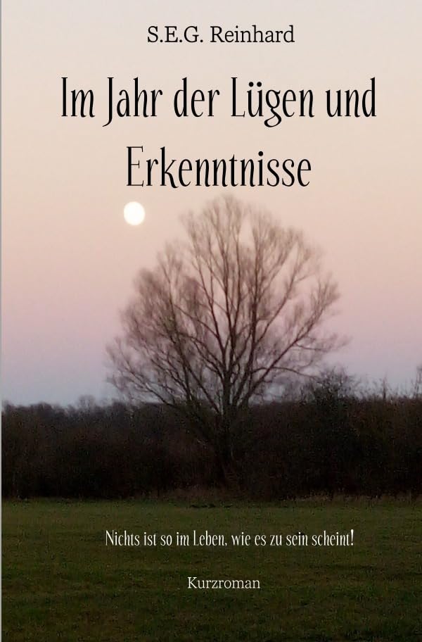 Im Jahr der Lügen und Erkenntnisse: Nichts ist so im Leben, wie es zu sein scheint! Essays & Short Stories