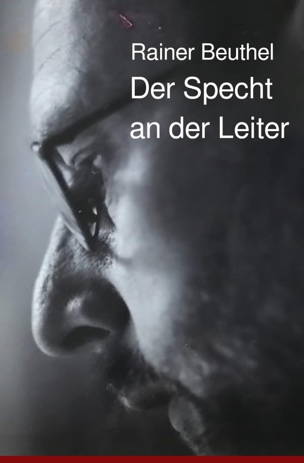 Der Specht an der Leiter Contemporary literature Books